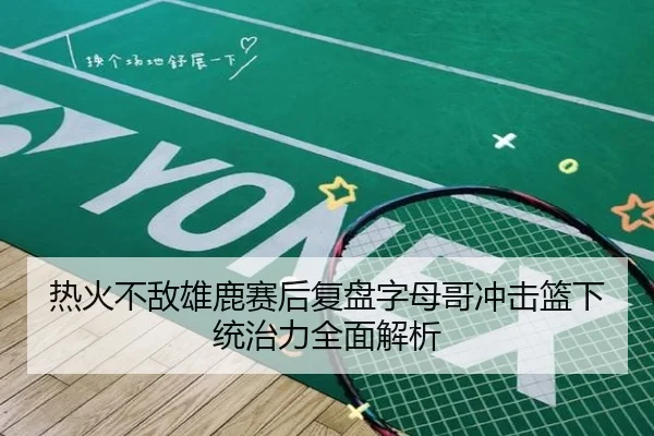 热火不敌雄鹿赛后复盘字母哥冲击篮下统治力全面解析